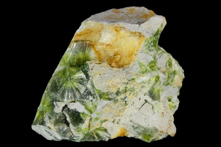 Radiating, Green Wavellite Crystal Aggregation - Arkansas #127135